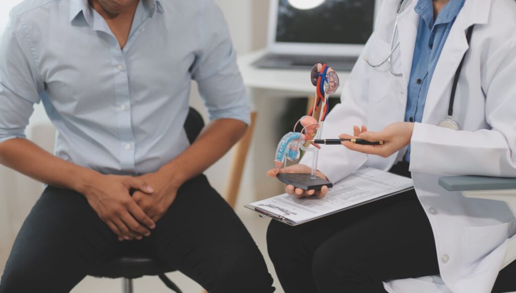 Como aumentar o pênis? Médico orienta paciente com modelo anatômico sobre métodos clínicos para aumentar o pênis com segurança e eficácia.