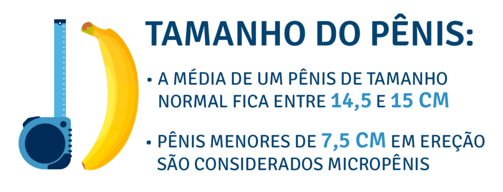 Tamanho do pênis Tamanho do pênis:
- A média de um pênis de tamanho normal fica entre 14,5 e 15 cm
- Pênis menores de 7,5 cm em ereção são considerados micropênis
