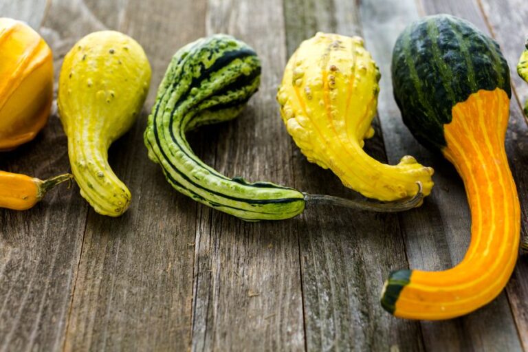 Como desentortar o pênis?