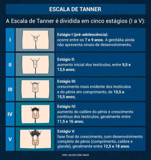 Crescimento Peniano: Até Quando O Órgão Cresce?